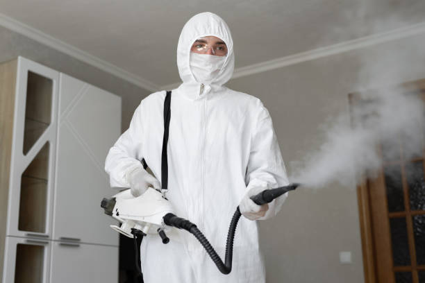 Why You Should Choose Our Mold Remediation Services in Chesterton, IN